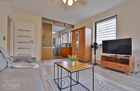 Bed, TV and multimedia, Kitchen or kitchenette, Living room, Photo of the whole room, Seating area, Bedroom, wardrobe