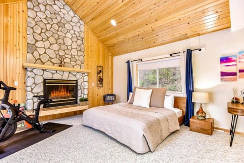 Bed, Photo of the whole room, Bedroom, fireplace