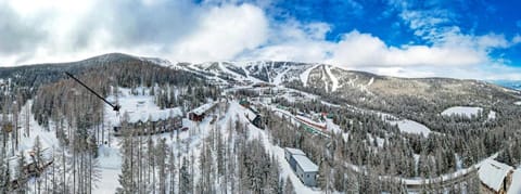 High-altitude Hideaway: Large Rental on Schweitzer Mountain with Views and Hot Tub House in Idaho