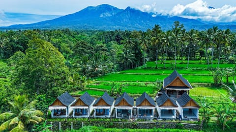 Property building, Nearby landmark, Day, Natural landscape, Garden, Garden view, Mountain view