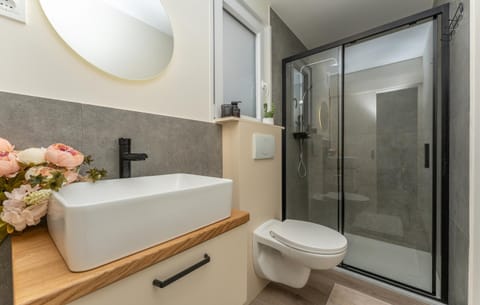 Shower, Toilet, Bathroom, towels