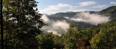 Cozy Cottage with a Jacuzzi in the Snowbird Mountain Range with Views of Lake Santeetlah, North Carolina House in Cheoah