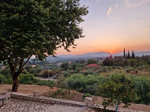 Natural landscape, Garden
