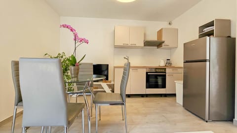 Apartment Lux Apartment in Novigrad