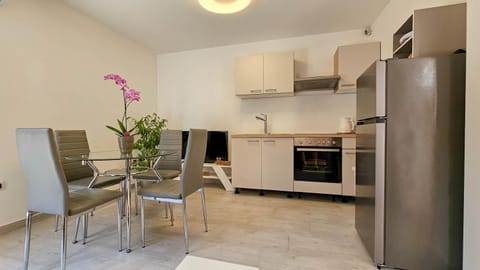 Apartment Lux Apartment in Novigrad