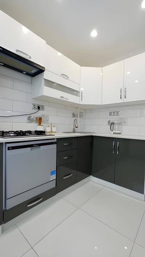 Kitchen or kitchenette, dishwasher, stove, kitchen