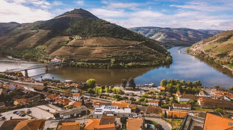 Nearby landmark, Natural landscape, View (from property/room), City view, River view