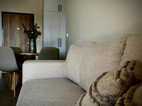 Apartament NIEGOCIN Apartment in Lithuania