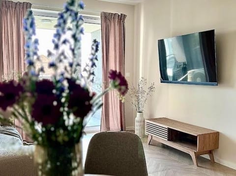 Apartament NIEGOCIN Apartment in Lithuania