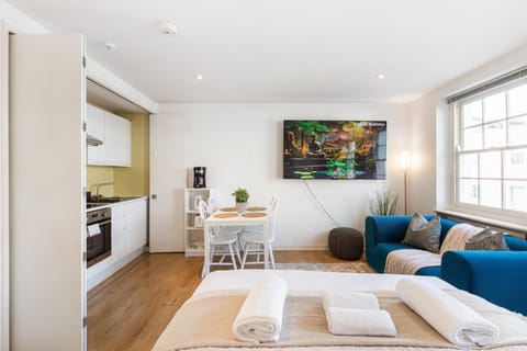 Bed, TV and multimedia, Kitchen or kitchenette, Living room, Photo of the whole room, Seating area, Dining area, oven, stove