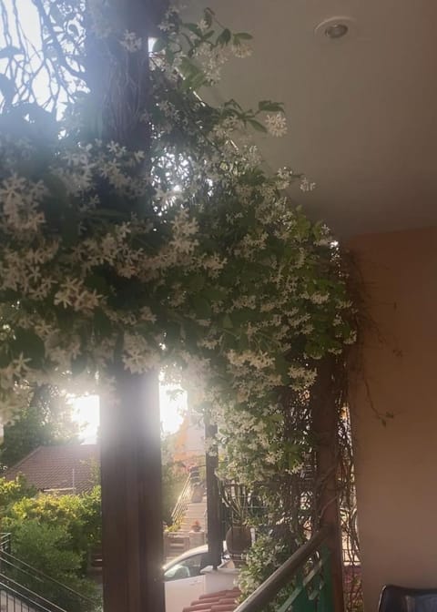 hamola calumba siviri Apartment in Halkidiki