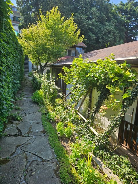Property building, Day, Garden view