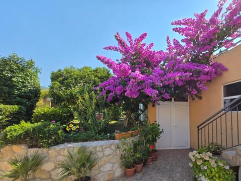 Apartments PHARIA Apartment in Dubrovnik-Neretva County