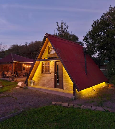 Night, Garden view
