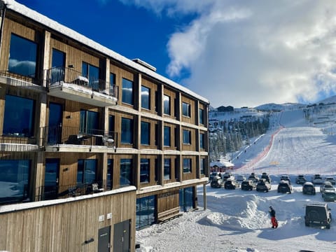Property building, Winter