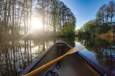Spring, Day, Natural landscape, Activities, River view