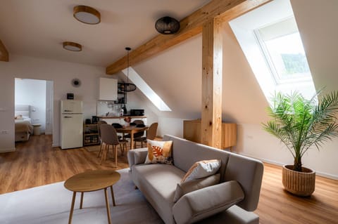 Kitchen or kitchenette, Living room, Seating area, Dining area