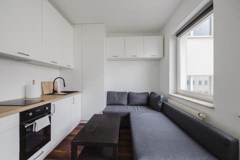 Kitchen or kitchenette, Living room, Seating area, Dining area, stove