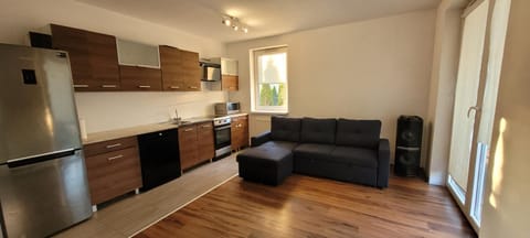 Kitchen or kitchenette, Living room, dishwasher, microwave, stove