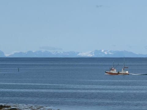 Berget House in Lofoten