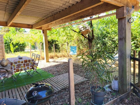 Patio, Garden, Garden view