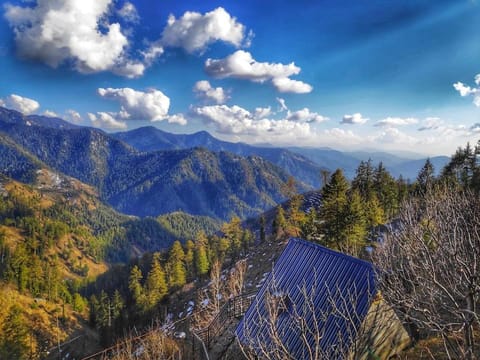 Natural landscape