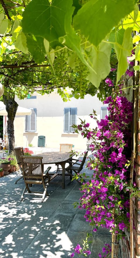 Patio, Garden, Garden view