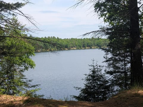 The Hideout - Cute and Quiet Rustic Cabin! Cabin in Oscoda Township