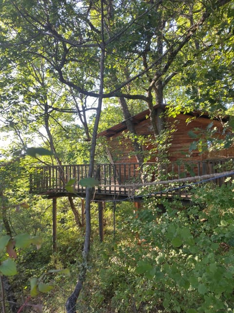 Property building, Natural landscape