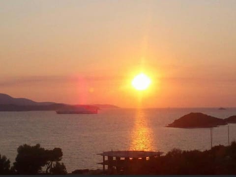 Prefect Apartment 50 m Sea Aphrodite 01 Apartment in Ksamil