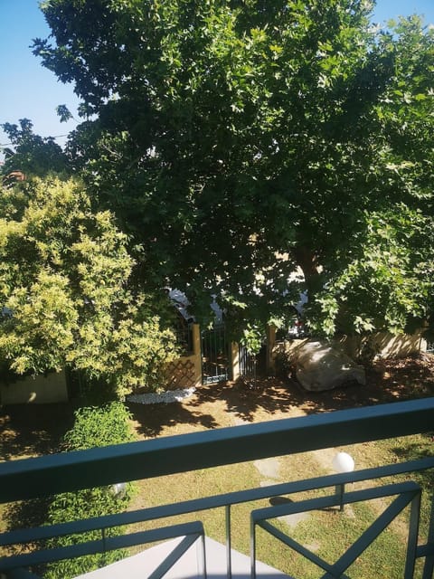 Natural landscape, Garden view