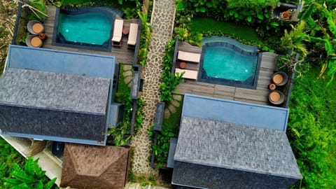 Day, Pool view, Swimming pool, sunbed