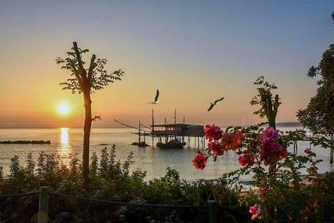 Belvedere Dei Trabocchi Apartment in Ortona
