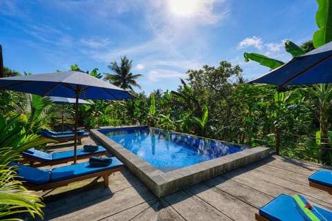 Natural landscape, Garden, Garden view, Pool view, Swimming pool, sunbed