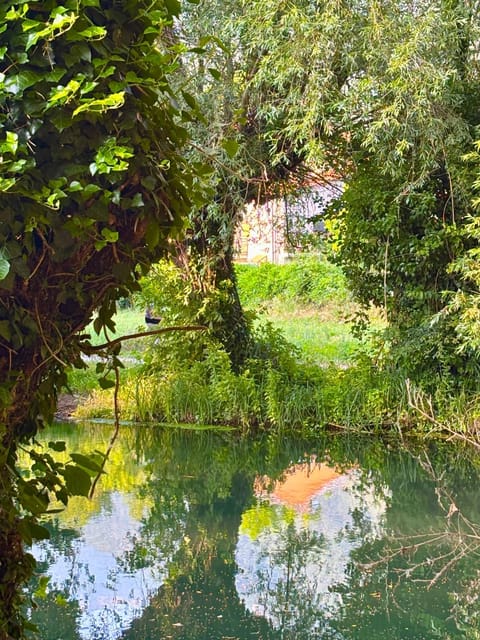 Property building, Garden, River view