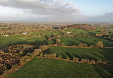 Homestay Large Ensuite Room Vacation rental in Westmeath, Co. Westmeath, Ireland