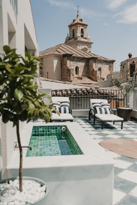 Balcony/Terrace, sunbed