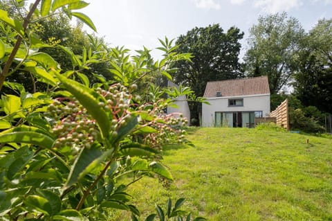 Secret garden Villa in Ghent