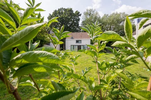 Secret garden Villa in Ghent