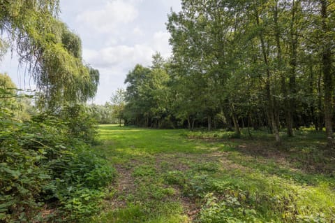 Secret garden Villa in Ghent