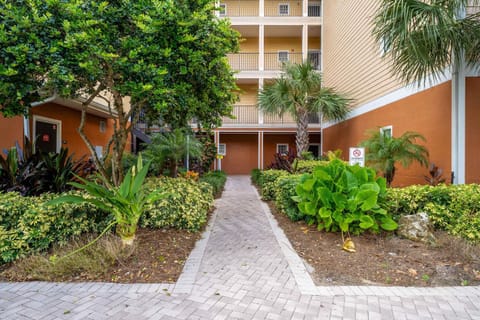 Cozy Cove - Caribe Escape for 8 House in Bay Lake