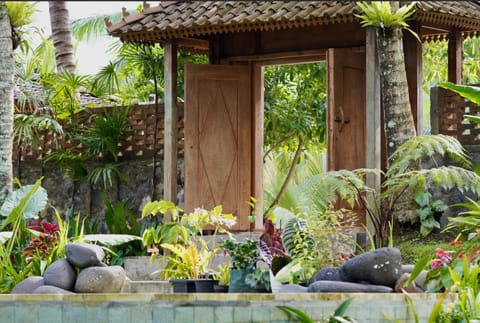 Property building, Natural landscape, Garden view