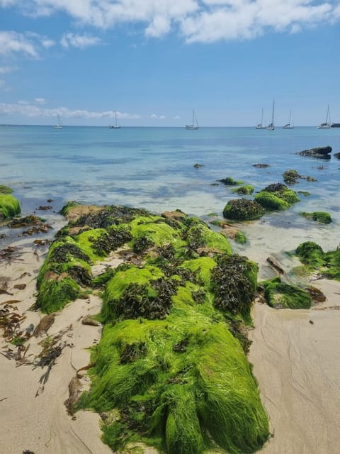 Ocean view triplex studio Apartment in Finistere