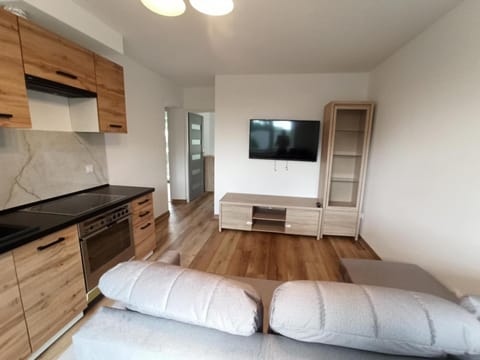 Communal lounge/ TV room, TV and multimedia, Kitchen or kitchenette, Living room, Seating area, Evening entertainment