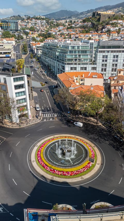Bird's eye view, City view, Street view, Location
