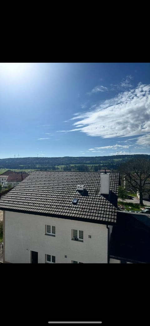 Le Cocoon Lumineux Apartment in Canton of Bern (Region)