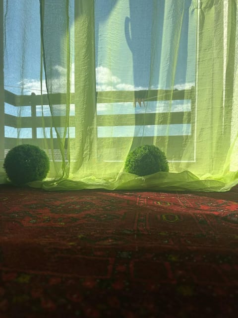 Le Cocoon Lumineux Apartment in Canton of Bern (Region)