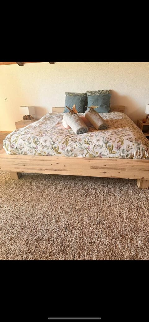 Le Cocoon Lumineux Apartment in Canton of Bern (Region)