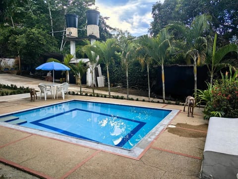 Pool view, Swimming pool