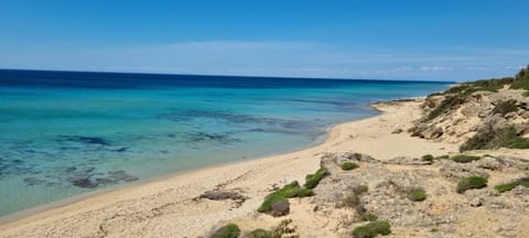 Day, Natural landscape, Beach